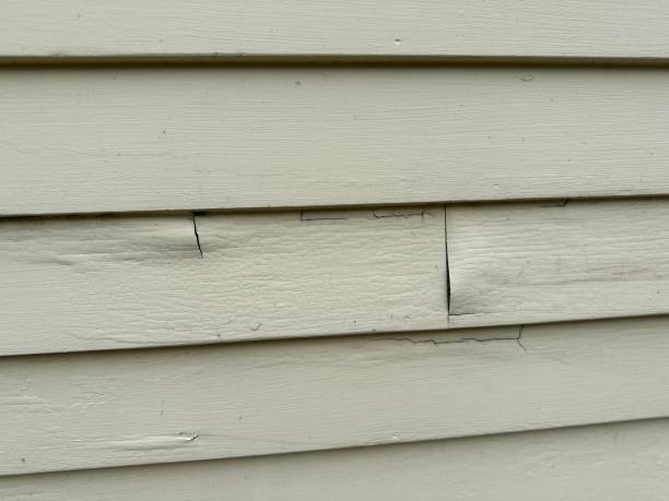 Best Storm Damage Siding Repair  in Flushing, MI